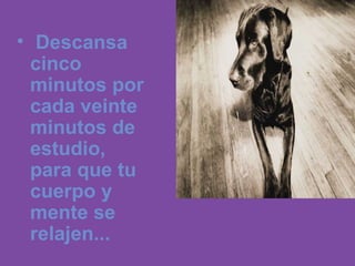 • Descansa
  cinco
  minutos por
  cada veinte
  minutos de
  estudio,
  para que tu
  cuerpo y
  mente se
  relajen...
 