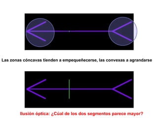 Las zonas cóncavas tienden a empequeñecerse, las convexas a agrandarse Ilusión óptica: ¿Cúal de los dos segmentos parece m...