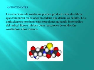 Las reacciones de oxidación pueden producir radicales libres
que comienzan reacciones en cadena que dañan las células. Los
antioxidantes terminan estas reacciones quitando intermedios
del radical libre e inhiben otras reacciones de oxidación
oxidándose ellos mismos.
ANTIOXIDANTES
 