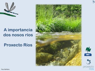 A importancia
  dos nosos ríos

   Proxecto Ríos




Paco Bañobre
 