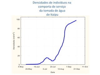 Densidades de indivíduos na comporta de serviço da tomada de água de Itaipu