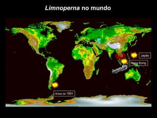 Limnoperna no mundoJapãoHongKongAntes de 1991