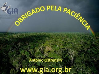 Obrigado pela paciênciaAntonio Ostrenskywww.gia.org.br