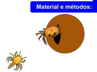 Material e métodos: