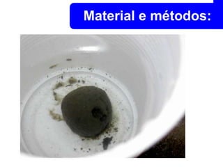 Material e métodos: