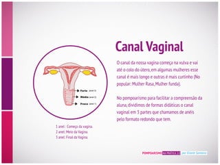 Canal Vaginal
O canal da nossa vagina começa na vulva e vai
até o colo do útero,em algumas mulheres esse
canal é mais longo e outras é mais curtinho (No
popular: Mulher Rasa,Mulher funda).
No pompoarismo para facilitar a compreensão da
aluna,dividimos de formas didáticas o canal
vaginal em 3 partes que chamamos de anéis
pelo formato redondo que tem.
1 anel : Começo da vagina.
2 anel: Meio da Vagina.
3 anel: Final da Vagina.
POMPOARISMO NA PRÁTICA 2.0 por Eliane Santana
 