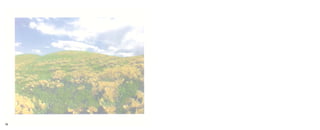 Como flores emum_jardim_para_site