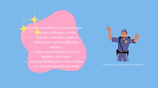 A membrana celular é a estrutura que:
Envolve e delimita a célula.
Controla a entrada e saída de
substâncias (permeabilidade
seletiva).
Composta principalmente por
lipídios e proteínas.
Atua na comunicação entre células
e no reconhecimento de sinais.
Literalmente a membrana trabalhando
 