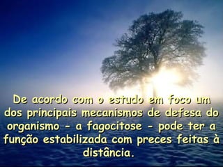 De acordo com o estudo em foco umDe acordo com o estudo em foco um
dos principais mecanismos de defesa dodos principais mecanismos de defesa do
organismo - a fagocitose - pode ter aorganismo - a fagocitose - pode ter a
função estabilizada com preces feitas àfunção estabilizada com preces feitas à
distância.distância.
 