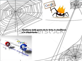Analizan cada parte de la web, la clasifican
y la almacenan.

 