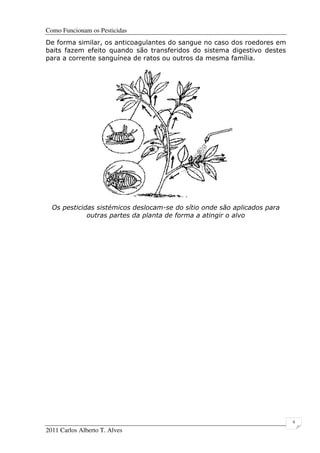 Como Funcionam os Pesticidas
2011 Carlos Alberto T. Alves
9
De forma similar, os anticoagulantes do sangue no caso dos roedores em
baits fazem efeito quando são transferidos do sistema digestivo destes
para a corrente sanguínea de ratos ou outros da mesma família.
Os pesticidas sistémicos deslocam-se do sítio onde são aplicados para
outras partes da planta de forma a atingir o alvo
 