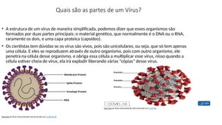 Quais são as partes de um Vírus?
• A estrutura de um vírus de maneira simplificada, podemos dizer que esses organismos são
formados por duas partes principais: o material genético, que normalmente é o DNA ou o RNA,
raramente os dois, e uma capa proteica (capsídeo).
• Os cientistas tem dúvidas se os vírus são vivos, pois são unicelulares, ou seja, que só tem apenas
uma célula. E eles se reproduzem através de outro organismo, pois com outro organismo, ele
penetra na célula desse organismo, e obriga essa célula a multiplicar esse vírus, nisso quando a
célula estiver cheia de vírus, ela irá explodir liberando várias “cópias” desse vírus.
Esta Foto de Autor Desconhecido está licenciado em CC BY-SA-NC
Esta Foto de Autor Desconhecido está licenciado em CC BY-ND
 