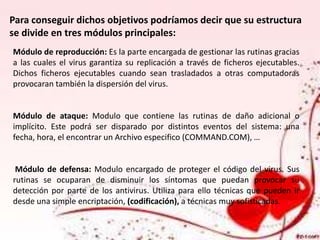 Para conseguir dichos objetivos podríamos decir que su estructura
se divide en tres módulos principales:
Módulo de reproducción: Es la parte encargada de gestionar las rutinas gracias
a las cuales el virus garantiza su replicación a través de ficheros ejecutables.
Dichos ficheros ejecutables cuando sean trasladados a otras computadoras
provocaran también la dispersión del virus.
Módulo de ataque: Modulo que contiene las rutinas de daño adicional o
implícito. Este podrá ser disparado por distintos eventos del sistema: una
fecha, hora, el encontrar un Archivo especifico (COMMAND.COM), …
Módulo de defensa: Modulo encargado de proteger el código del virus. Sus
rutinas se ocuparan de disminuir los síntomas que puedan provocar su
detección por parte de los antivirus. Utiliza para ello técnicas que pueden ir
desde una simple encriptación, (codificación), a técnicas muy sofisticadas.
 