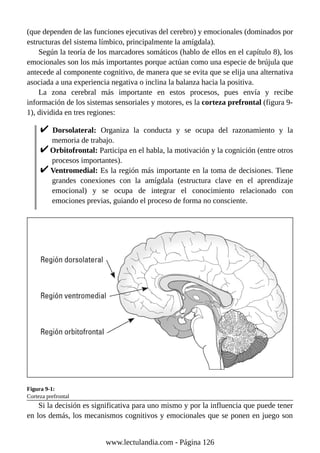 (que dependen de las funciones ejecutivas del cerebro) y emocionales (dominados por
estructuras del sistema límbico, principalmente la amígdala).
Según la teoría de los marcadores somáticos (hablo de ellos en el capítulo 8), los
emocionales son los más importantes porque actúan como una especie de brújula que
antecede al componente cognitivo, de manera que se evita que se elija una alternativa
asociada a una experiencia negativa o inclina la balanza hacia la positiva.
La zona cerebral más importante en estos procesos, pues envía y recibe
información de los sistemas sensoriales y motores, es la corteza prefrontal (figura 9-
1), dividida en tres regiones:
Dorsolateral: Organiza la conducta y se ocupa del razonamiento y la
memoria de trabajo.
Orbitofrontal: Participa en el habla, la motivación y la cognición (entre otros
procesos importantes).
Ventromedial: Es la región más importante en la toma de decisiones. Tiene
grandes conexiones con la amígdala (estructura clave en el aprendizaje
emocional) y se ocupa de integrar el conocimiento relacionado con
emociones previas, guiando el proceso de forma no consciente.
Figura 9-1:
Corteza prefrontal
Si la decisión es significativa para uno mismo y por la influencia que puede tener
en los demás, los mecanismos cognitivos y emocionales que se ponen en juego son
www.lectulandia.com - Página 126
 