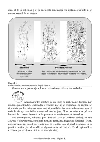 ateo, al de un religioso; y el de un taxista tiene zonas con distinto desarrollo si se
compara con el de un músico.
Figura 1-1:
Evolución de las conexiones neuronales después de nacer
Vamos a ver un par de ejemplos concretos de esas diferencias cerebrales:
Al comparar los cerebros de un grupo de participantes formado por
músicos profesionales, aficionados y personas que no se dedicaban a la música, se
descubrió que los primeros tenían más desarrolladas las zonas relacionadas con el
oído, la vista y la actividad motora del cerebro (esto último se debe a su práctica
habitual de convertir las notas de las partituras en movimientos de los dedos).
Esta investigación, publicada por Christian Gaser y Gottfried Schlaug en The
Journal of Neuroscience, corroboró mediante resonancia magnética funcional (fMRI,
por sus siglas en inglés) que existe una correlación entre el nivel alcanzado en la
práctica musical y el desarrollo de algunas zonas del cerebro. (En el capítulo 3 te
explicaré qué técnicas se utilizan en neurociencias.)
www.lectulandia.com - Página 17
 