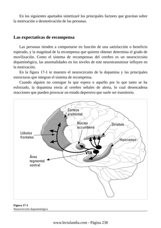 En los siguientes apartados sintetizaré los principales factores que gravitan sobre
la motivación o desmotivación de las personas.
Las expectativas de recompensa
Las personas tienden a comportarse en función de una satisfacción o beneficio
esperado, y la magnitud de la recompensa que quieren obtener determina el grado de
movilización. Como el sistema de recompensas del cerebro es un neurocircuito
dopaminérgico, las anormalidades en los niveles de este neurotransmisor influyen en
la motivación.
En la figura 17-1 te muestro el neurocircuito de la dopamina y las principales
estructuras que integran el sistema de recompensa.
Cuando alguien no consigue lo que espera o aquello por lo que tanto se ha
esforzado, la dopamina envía al cerebro señales de alerta, lo cual desencadena
reacciones que pueden provocar un estado depresivo que suele ser transitorio.
Figura 17-1
Neurocircuito dopaminérgico
www.lectulandia.com - Página 238
 