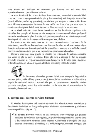 unos treinta mil millones de neuronas que forman una red que tiene
aproximadamente... ¡un trillón de enlaces!
A nivel funcional, la corteza incluye áreas motrices, somestésicas (sensibilidad
corporal, como la que procede de la piel y los músculos), del lenguaje, sensoriales
(visual, olfativa, auditiva y gustativa) y asociativas que integran la información. Entre
estas últimas se encuentran las áreas de asociación motrices y las que se ocupan de
relacionar e interpretar la información que recibimos a través de los sentidos.
A un nivel más alto, estas áreas intervienen en las funciones cognitivas más
elevadas. Por ejemplo, el área de asociación que se encuentra en el lóbulo prefrontal
está relacionada con la planificación y el pensamiento abstracto, mientras que en el
lóbulo parietal están las áreas que utilizamos para leer y hablar.
La corteza es, sin duda, una de las más extraordinarias creaciones de la
naturaleza, y no sólo por las funciones que desempeña, sino por el proceso que sigue
durante su formación: justo después de la gestación, el cerebro y la médula espinal
parecen un diminuto tubo que se va expandiendo para formar el cerebro.
Como la corteza es muy grande en relación con el tamaño del cráneo, a medida
que crece se pliega sobre sí misma. Estos pliegues y zigzags le dan su aspecto
arrugado y forman las regiones anatómicas en las que se ha dividido para estudiarla:
el lóbulo parietal, el lóbulo temporal, el lóbulo occipital y el lóbulo frontal.
En la corteza el cerebro procesa la información que le llega de los
sentidos (vista, oído, olfato, gusto y tacto), controla los movimientos voluntarios y
regula la actividad mental caracterizada por el pensamiento. Además, realiza
procesos complejos, como los relacionados con la atención, el razonamiento, la
memoria y las emociones.
El cerebro en el sistema nervioso humano
El cerebro forma parte del sistema nervioso. Las clasificaciones anatómicas y
funcionales lo dividen en dos grandes partes: el sistema nervioso central y el sistema
nervioso periférico (figura 1-3).
El sistema nervioso central es una estructura muy compleja que procesa
millones de estímulos por segundo, adaptando las respuestas del cuerpo tanto
a las condiciones externas como internas. Comprende el encéfalo (en cuyo
interior se encuentra el cerebro) y la médula espinal, que está protegida por
www.lectulandia.com - Página 25
 