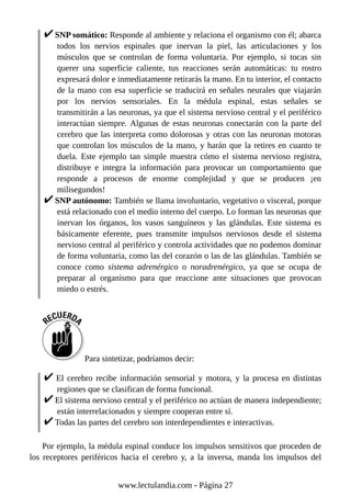 SNP somático: Responde al ambiente y relaciona el organismo con él; abarca
todos los nervios espinales que inervan la piel, las articulaciones y los
músculos que se controlan de forma voluntaria. Por ejemplo, si tocas sin
querer una superficie caliente, tus reacciones serán automáticas: tu rostro
expresará dolor e inmediatamente retirarás la mano. En tu interior, el contacto
de la mano con esa superficie se traducirá en señales neurales que viajarán
por los nervios sensoriales. En la médula espinal, estas señales se
transmitirán a las neuronas, ya que el sistema nervioso central y el periférico
interactúan siempre. Algunas de estas neuronas conectarán con la parte del
cerebro que las interpreta como dolorosas y otras con las neuronas motoras
que controlan los músculos de la mano, y harán que la retires en cuanto te
duela. Este ejemplo tan simple muestra cómo el sistema nervioso registra,
distribuye e integra la información para provocar un comportamiento que
responde a procesos de enorme complejidad y que se producen ¡en
milisegundos!
SNP autónomo: También se llama involuntario, vegetativo o visceral, porque
está relacionado con el medio interno del cuerpo. Lo forman las neuronas que
inervan los órganos, los vasos sanguíneos y las glándulas. Este sistema es
básicamente eferente, pues transmite impulsos nerviosos desde el sistema
nervioso central al periférico y controla actividades que no podemos dominar
de forma voluntaria, como las del corazón o las de las glándulas. También se
conoce como sistema adrenérgico o noradrenérgico, ya que se ocupa de
preparar al organismo para que reaccione ante situaciones que provocan
miedo o estrés.
Para sintetizar, podríamos decir:
El cerebro recibe información sensorial y motora, y la procesa en distintas
regiones que se clasifican de forma funcional.
El sistema nervioso central y el periférico no actúan de manera independiente;
están interrelacionados y siempre cooperan entre sí.
Todas las partes del cerebro son interdependientes e interactivas.
Por ejemplo, la médula espinal conduce los impulsos sensitivos que proceden de
los receptores periféricos hacia el cerebro y, a la inversa, manda los impulsos del
www.lectulandia.com - Página 27
 