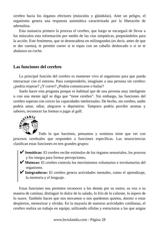 cerebro hacia los órganos efectores (músculos y glándulas). Ante un peligro, el
organismo genera una respuesta automática caracterizada por la liberación de
adrenalina.
Esta sustancia primero la procesa el cerebro, que luego se encargará de llevar a
los músculos esta información por medio de las vías simpáticas, preparándolos para
la acción. Este fenómeno, que se desencadena en milisegundos (es decir, antes de que
te des cuenta), te permite correr si te topas con un caballo desbocado o si se te
abalanza un coche.
Las funciones del cerebro
La principal función del cerebro es mantener vivo al organismo para que pueda
interactuar con el entorno. Para comprenderlo, imagínate a una persona sin cerebro:
¿podría respirar? ¿Y correr? ¿Podría comunicarse o bailar?
Suelo hacer esta pregunta porque es habitual que de una persona muy inteligente
o con una mente ágil se diga que “tiene cerebro”. Sin embargo, las funciones del
cerebro superan con creces las capacidades intelectuales. De hecho, sin cerebro, nadie
podría amar, odiar, alegrarse o deprimirse. Tampoco podría percibir aromas y
sabores, reconocer las formas o jugar al golf.
Todo lo que hacemos, pensamos y sentimos tiene que ver con
procesos cerebrales que responden a funciones específicas. Las neurociencias
clasifican estas funciones en tres grandes grupos:
Sensitivas: El cerebro recibe estímulos de los órganos sensoriales, los procesa
y los integra para formar percepciones.
Motoras: El cerebro controla los movimientos voluntarios e involuntarios del
organismo.
Integradoras: El cerebro genera actividades mentales, como el aprendizaje,
la memoria y el lenguaje.
Estas funciones nos permiten reconocer a los demás por su rostro, su voz o su
manera de caminar, distinguir lo dulce de lo salado, lo frío de lo caliente, lo áspero de
lo suave. También hacen que nos movamos o nos quedemos quietos, dormir o estar
despiertos, memorizar y olvidar. En la mayoría de nuestras actividades cotidianas, el
cerebro realiza un trabajo en equipo, utilizando células y estructuras a las que asigna
www.lectulandia.com - Página 28
 