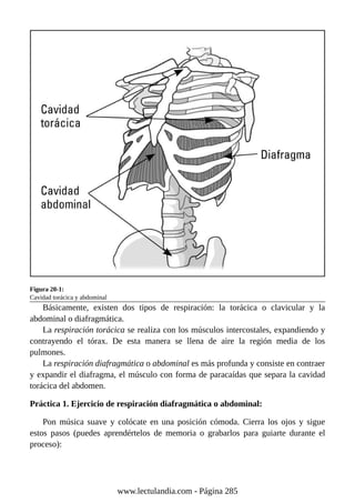 Figura 20-1:
Cavidad torácica y abdominal
Básicamente, existen dos tipos de respiración: la torácica o clavicular y la
abdominal o diafragmática.
La respiración torácica se realiza con los músculos intercostales, expandiendo y
contrayendo el tórax. De esta manera se llena de aire la región media de los
pulmones.
La respiración diafragmática o abdominal es más profunda y consiste en contraer
y expandir el diafragma, el músculo con forma de paracaídas que separa la cavidad
torácica del abdomen.
Práctica 1. Ejercicio de respiración diafragmática o abdominal:
Pon música suave y colócate en una posición cómoda. Cierra los ojos y sigue
estos pasos (puedes aprendértelos de memoria o grabarlos para guiarte durante el
proceso):
www.lectulandia.com - Página 285
 