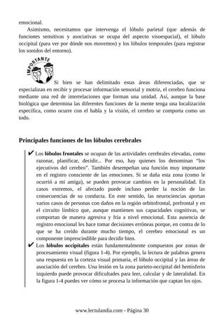 emocional.
Asimismo, necesitamos que intervenga el lóbulo parietal (que además de
funciones sensitivas y asociativas se ocupa del aspecto visoespacial), el lóbulo
occipital (para ver por dónde nos movemos) y los lóbulos temporales (para registrar
los sonidos del entorno).
Si bien se han delimitado estas áreas diferenciadas, que se
especializan en recibir y procesar información sensorial y motriz, el cerebro funciona
mediante una red de interrelaciones que forman una unidad. Así, aunque la base
biológica que determina las diferentes funciones de la mente tenga una localización
específica, como ocurre con el habla y la visión, el cerebro se comporta como un
todo.
Principales funciones de los lóbulos cerebrales
Los lóbulos frontales se ocupan de las actividades cerebrales elevadas, como
razonar, planificar, decidir... Por eso, hay quienes los denominan “los
ejecutivos del cerebro”. También desempeñan una función muy importante
en el registro consciente de las emociones. Si se daña esta zona (como le
ocurrió a mi amiga), se pueden provocar cambios en la personalidad. En
casos extremos, el afectado puede incluso perder la noción de las
consecuencias de su conducta. En este sentido, las neurociencias aportan
varios casos de personas con daños en la región orbitofrontal, prefrontal y en
el circuito límbico que, aunque mantienen sus capacidades cognitivas, se
comportan de manera agresiva y fría a nivel emocional. Esta ausencia de
registro emocional les hace tomar decisiones erróneas porque, en contra de lo
que se ha creído durante mucho tiempo, el cerebro emocional es un
componente imprescindible para decidir bien.
Los lóbulos occipitales están fundamentalmente compuestos por zonas de
procesamiento visual (figura 1-4). Por ejemplo, la lectura de palabras genera
una respuesta en la corteza visual primaria, el lóbulo occipital y las áreas de
asociación del cerebro. Una lesión en la zona parieto-occipital del hemisferio
izquierdo puede provocar dificultades para leer, calcular y de lateralidad. En
la figura 1-4 puedes ver cómo se procesa la información que captan los ojos.
www.lectulandia.com - Página 30
 