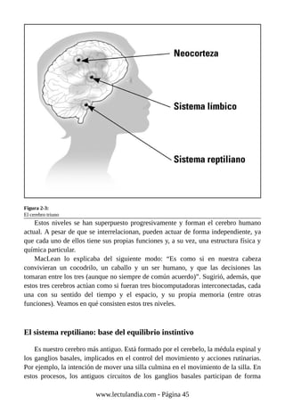 Figura 2-3:
El cerebro triuno
Estos niveles se han superpuesto progresivamente y forman el cerebro humano
actual. A pesar de que se interrelacionan, pueden actuar de forma independiente, ya
que cada uno de ellos tiene sus propias funciones y, a su vez, una estructura física y
química particular.
MacLean lo explicaba del siguiente modo: “Es como si en nuestra cabeza
convivieran un cocodrilo, un caballo y un ser humano, y que las decisiones las
tomaran entre los tres (aunque no siempre de común acuerdo)”. Sugirió, además, que
estos tres cerebros actúan como si fueran tres biocomputadoras interconectadas, cada
una con su sentido del tiempo y el espacio, y su propia memoria (entre otras
funciones). Veamos en qué consisten estos tres niveles.
El sistema reptiliano: base del equilibrio instintivo
Es nuestro cerebro más antiguo. Está formado por el cerebelo, la médula espinal y
los ganglios basales, implicados en el control del movimiento y acciones rutinarias.
Por ejemplo, la intención de mover una silla culmina en el movimiento de la silla. En
estos procesos, los antiguos circuitos de los ganglios basales participan de forma
www.lectulandia.com - Página 45
 