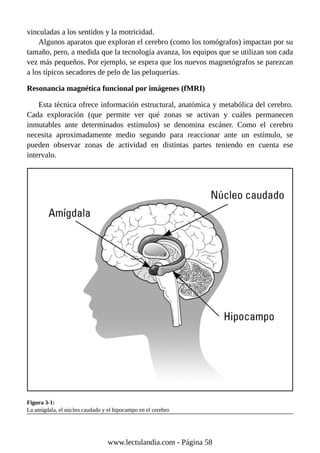 vinculadas a los sentidos y la motricidad.
Algunos aparatos que exploran el cerebro (como los tomógrafos) impactan por su
tamaño, pero, a medida que la tecnología avanza, los equipos que se utilizan son cada
vez más pequeños. Por ejemplo, se espera que los nuevos magnetógrafos se parezcan
a los típicos secadores de pelo de las peluquerías.
Resonancia magnética funcional por imágenes (fMRI)
Esta técnica ofrece información estructural, anatómica y metabólica del cerebro.
Cada exploración (que permite ver qué zonas se activan y cuáles permanecen
inmutables ante determinados estímulos) se denomina escáner. Como el cerebro
necesita aproximadamente medio segundo para reaccionar ante un estímulo, se
pueden observar zonas de actividad en distintas partes teniendo en cuenta ese
intervalo.
Figura 3-1:
La amígdala, el núcleo caudado y el hipocampo en el cerebro
www.lectulandia.com - Página 58
 
