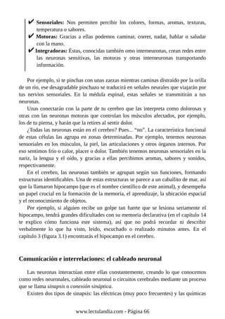 Sensoriales: Nos permiten percibir los colores, formas, aromas, texturas,
temperatura o sabores.
Motoras: Gracias a ellas podemos caminar, correr, nadar, hablar o saludar
con la mano.
Integradoras: Éstas, conocidas también omo interneuronas, crean redes entre
las neuronas sensitivas, las motoras y otras interneuronas transportando
información.
Por ejemplo, si te pinchas con unas zarzas mientras caminas distraído por la orilla
de un río, ese desagradable pinchazo se traducirá en señales neurales que viajarán por
tus nervios sensoriales. En la médula espinal, estas señales se transmitirán a tus
neuronas.
Unas conectarán con la parte de tu cerebro que las interpreta como dolorosas y
otras con las neuronas motoras que controlan los músculos afectados, por ejemplo,
los de tu pierna, y harán que la retires al sentir dolor.
¿Todas las neuronas están en el cerebro? Pues... “no”. La característica funcional
de estas células las agrupa en zonas determinadas. Por ejemplo, tenemos neuronas
sensoriales en los músculos, la piel, las articulaciones y otros órganos internos. Por
eso sentimos frío o calor, placer o dolor. También tenemos neuronas sensoriales en la
nariz, la lengua y el oído, y gracias a ellas percibimos aromas, sabores y sonidos,
respectivamente.
En el cerebro, las neuronas también se agrupan según sus funciones, formando
estructuras identificables. Una de estas estructuras se parece a un caballito de mar, así
que la llamaron hipocampo (que es el nombre científico de este animal), y desempeña
un papel crucial en la formación de la memoria, el aprendizaje, la ubicación espacial
y el reconocimiento de objetos.
Por ejemplo, si alguien recibe un golpe tan fuerte que se lesiona seriamente el
hipocampo, tendrá grandes dificultades con su memoria declarativa (en el capítulo 14
te explico cómo funciona este sistema), así que no podrá recordar ni describir
verbalmente lo que ha visto, leído, escuchado o realizado minutos antes. En el
capítulo 3 (figura 3.1) encontrarás el hipocampo en el cerebro.
Comunicación e interrelaciones: el cableado neuronal
Las neuronas interactúan entre ellas constantemente, creando lo que conocemos
como redes neuronales, cableado neuronal o circuitos cerebrales mediante un proceso
que se llama sinapsis o conexión sináptica.
Existen dos tipos de sinapsis: las eléctricas (muy poco frecuentes) y las químicas
www.lectulandia.com - Página 66
 