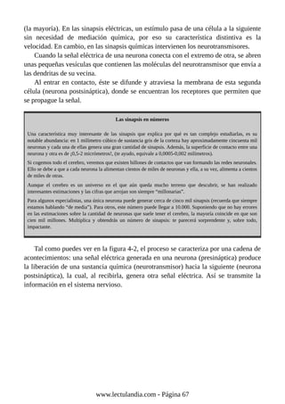 (la mayoría). En las sinapsis eléctricas, un estímulo pasa de una célula a la siguiente
sin necesidad de mediación química, por eso su característica distintiva es la
velocidad. En cambio, en las sinapsis químicas intervienen los neurotransmisores.
Cuando la señal eléctrica de una neurona conecta con el extremo de otra, se abren
unas pequeñas vesículas que contienen las moléculas del neurotransmisor que envía a
las dendritas de su vecina.
Al entrar en contacto, éste se difunde y atraviesa la membrana de esta segunda
célula (neurona postsináptica), donde se encuentran los receptores que permiten que
se propague la señal.
Las sinapsis en números
Una característica muy interesante de las sinapsis que explica por qué es tan complejo estudiarlas, es su
notable abundancia: en 1 milímetro cúbico de sustancia gris de la corteza hay aproximadamente cincuenta mil
neuronas y cada una de ellas genera una gran cantidad de sinapsis. Además, la superficie de contacto entre una
neurona y otra es de ¡0,5-2 micrómetros!, (te ayudo, equivale a 0,0005-0,002 milímetros).
Si cogemos todo el cerebro, veremos que existen billones de contactos que van formando las redes neuronales.
Ello se debe a que a cada neurona la alimentan cientos de miles de neuronas y ella, a su vez, alimenta a cientos
de miles de otras.
Aunque el cerebro es un universo en el que aún queda mucho terreno que descubrir, se han realizado
interesantes estimaciones y las cifras que arrojan son siempre “millonarias”.
Para algunos especialistas, una única neurona puede generar cerca de cinco mil sinapsis (recuerda que siempre
estamos hablando “de media”). Para otros, este número puede llegar a 10.000. Suponiendo que no hay errores
en las estimaciones sobre la cantidad de neuronas que suele tener el cerebro, la mayoría coincide en que son
cien mil millones. Multiplica y obtendrás un número de sinapsis: te parecerá sorprendente y, sobre todo,
impactante.
Tal como puedes ver en la figura 4-2, el proceso se caracteriza por una cadena de
acontecimientos: una señal eléctrica generada en una neurona (presináptica) produce
la liberación de una sustancia química (neurotransmisor) hacia la siguiente (neurona
postsináptica), la cual, al recibirla, genera otra señal eléctrica. Así se transmite la
información en el sistema nervioso.
www.lectulandia.com - Página 67
 