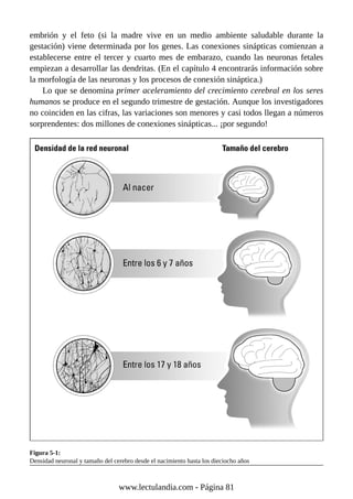 embrión y el feto (si la madre vive en un medio ambiente saludable durante la
gestación) viene determinada por los genes. Las conexiones sinápticas comienzan a
establecerse entre el tercer y cuarto mes de embarazo, cuando las neuronas fetales
empiezan a desarrollar las dendritas. (En el capítulo 4 encontrarás información sobre
la morfología de las neuronas y los procesos de conexión sináptica.)
Lo que se denomina primer aceleramiento del crecimiento cerebral en los seres
humanos se produce en el segundo trimestre de gestación. Aunque los investigadores
no coinciden en las cifras, las variaciones son menores y casi todos llegan a números
sorprendentes: dos millones de conexiones sinápticas... ¡por segundo!
Figura 5-1:
Densidad neuronal y tamaño del cerebro desde el nacimiento hasta los dieciocho años
www.lectulandia.com - Página 81
 