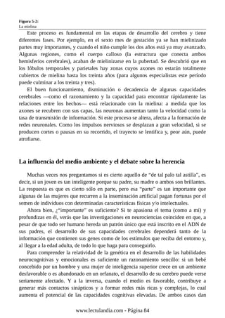 Figura 5-2:
La mielina
Este proceso es fundamental en las etapas de desarrollo del cerebro y tiene
diferentes fases. Por ejemplo, en el sexto mes de gestación ya se han mielinizado
partes muy importantes, y cuando el niño cumple los dos años está ya muy avanzado.
Algunas regiones, como el cuerpo calloso (la estructura que conecta ambos
hemisferios cerebrales), acaban de mielinizarse en la pubertad. Se descubrió que en
los lóbulos temporales y parietales hay zonas cuyos axones no estarán totalmente
cubiertos de mielina hasta los treinta años (para algunos especialistas este período
puede culminar a los treinta y tres).
El buen funcionamiento, disminución o decadencia de algunas capacidades
cerebrales —como el razonamiento y la capacidad para encontrar rápidamente las
relaciones entre los hechos— está relacionado con la mielina: a medida que los
axones se recubren con sus capas, las neuronas aumentan tanto la velocidad como la
tasa de transmisión de información. Si este proceso se altera, afecta a la formación de
redes neuronales. Como los impulsos nerviosos se desplazan a gran velocidad, si se
producen cortes o pausas en su recorrido, el trayecto se lentifica y, peor aún, puede
atrofiarse.
La influencia del medio ambiente y el debate sobre la herencia
Muchas veces nos preguntamos si es cierto aquello de “de tal palo tal astilla”, es
decir, si un joven es tan inteligente porque su padre, su madre o ambos son brillantes.
La respuesta es que es cierto sólo en parte, pero esa “parte” es tan importante que
algunas de las mujeres que recurren a la inseminación artificial pagan fortunas por el
semen de individuos con determinadas características físicas y/o intelectuales.
Ahora bien, ¿“importante” es suficiente? Si te apasiona el tema (como a mí) y
profundizas en él, verás que las investigaciones en neurociencias coinciden en que, a
pesar de que todo ser humano hereda un patrón único que está inscrito en el ADN de
sus padres, el desarrollo de sus capacidades cerebrales dependerá tanto de la
información que contienen sus genes como de los estímulos que reciba del entorno y,
al llegar a la edad adulta, de todo lo que haga para conseguirlo.
Para comprender la relatividad de la genética en el desarrollo de las habilidades
neurocognitivas y emocionales es suficiente un razonamiento sencillo: si un bebé
concebido por un hombre y una mujer de inteligencia superior crece en un ambiente
desfavorable o es abandonado en un orfanato, el desarrollo de su cerebro puede verse
seriamente afectado. Y a la inversa, cuando el medio es favorable, contribuye a
generar más contactos sinápticos y a formar redes más ricas y complejas, lo cual
aumenta el potencial de las capacidades cognitivas elevadas. De ambos casos dan
www.lectulandia.com - Página 84
 