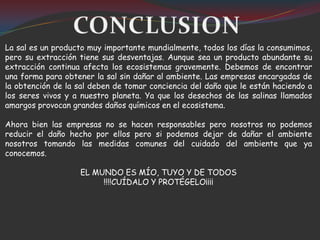 La sal es un producto muy importante mundialmente, todos los días la consumimos,
pero su extracción tiene sus desventajas. Aunque sea un producto abundante su
extracción continua afecta los ecosistemas gravemente. Debemos de encontrar
una forma para obtener la sal sin dañar al ambiente. Las empresas encargadas de
la obtención de la sal deben de tomar conciencia del daño que le están haciendo a
los seres vivos y a nuestro planeta. Ya que los desechos de las salinas llamados
amargos provocan grandes daños químicos en el ecosistema.

Ahora bien las empresas no se hacen responsables pero nosotros no podemos
reducir el daño hecho por ellos pero si podemos dejar de dañar el ambiente
nosotros tomando las medidas comunes del cuidado del ambiente que ya
conocemos.

                   EL MUNDO ES MÍO, TUYO Y DE TODOS
                        !!!!CUÍDALO Y PROTÉGELO¡¡¡¡
 