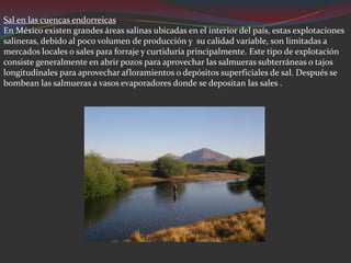 Sal en las cuencas endorreicas
En México existen grandes áreas salinas ubicadas en el interior del país, estas explotaciones
salineras, debido al poco volumen de producción y su calidad variable, son limitadas a
mercados locales o sales para forraje y curtiduría principalmente. Este tipo de explotación
consiste generalmente en abrir pozos para aprovechar las salmueras subterráneas o tajos
longitudinales para aprovechar afloramientos o depósitos superficiales de sal. Después se
bombean las salmueras a vasos evaporadores donde se depositan las sales .
 