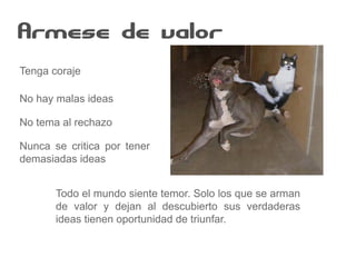 Armese de valor
Todo el mundo siente temor. Solo los que se arman
de valor y dejan al descubierto sus verdaderas
ideas tienen oportunidad de triunfar.
No hay malas ideas
Tenga coraje
No tema al rechazo
Nunca se critica por tener
demasiadas ideas
 