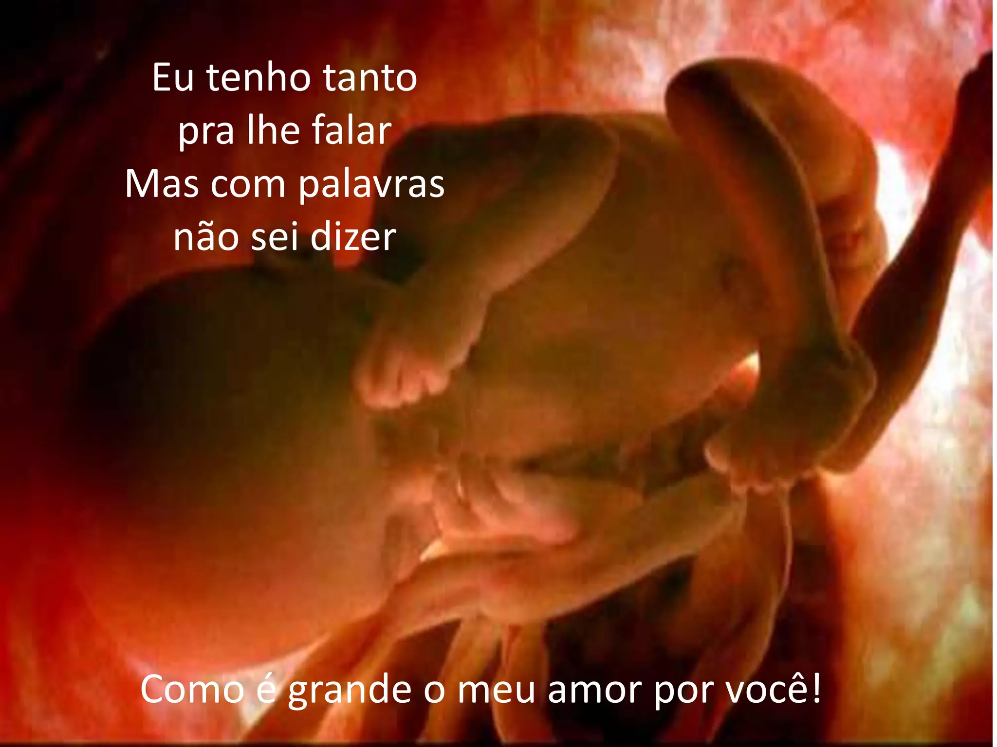 Eu tenho tanto
pra lhe falar
Mas com palavras
não sei dizer
Como é grande o meu amor por você!