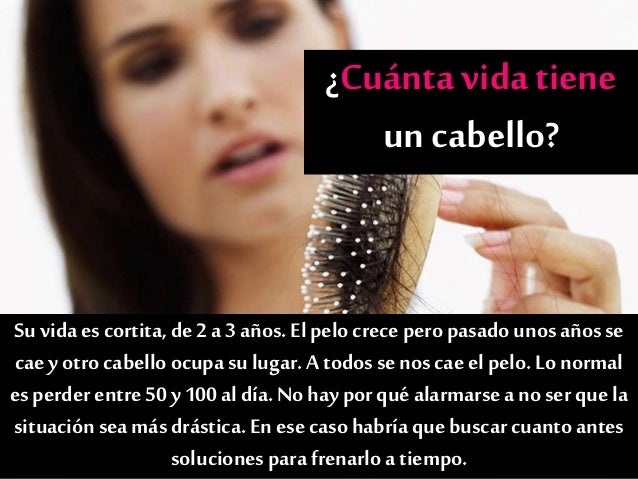 Cmo Hacer Crecer El Pelo De Hombre 6 Pasos Cmo Hacer Crecer El Pelo De Hombre 6 Pasos