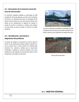 5
4.1.- Descripción de la situación actual del
área de intervención:
La extensión Cuyabeno alberga un porcentaje de 180
estudiantes de los dos géneros, su área es de ½ hectárea
de terreno su infraestructura tiene un alrededor de 30
metros Lineal cuenta con una área verde al frente otra
detrás de las instalaciones el objetivo de realizar el
campo de acción es mantener y sembrar más plantas
en estas áreas ya que nos ayuda a conservar el medio
ambiente.
4.2.- Identificación, descripción y
diagnóstico del problema.
Las áreas del colegio se encuentran en tierras rojas las
cuales no son aptas para sembrar árboles o plantas por
eso se conoce que el suelo necesita ser tratado para
mantener las plantas y árboles que se encuentran
sembrados y también Se necesita sembrar más, estos
problemas se dan debido a la erocción del suelo y al mal
manejo que se ha dado a estas áreas.
En estas instalaciones estudian un alrededor de 180
estudiantes de ente ellos cerca de 60 estudiantes de
cuarto y quinto curso realizamos el campo de acción.
Terreno de la extensión.
5.1.- OBJETIVO GENERAL:
 