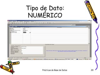 Tipo de Dato: NUMÉRICO 