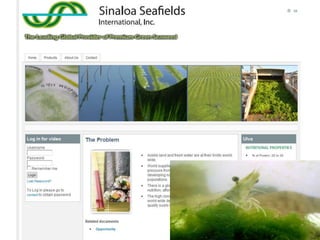 InversionesTipo de InversiónSemilla – para probar la ideaÁngel – para terminar la idea y conseguir los primeros clientesInversión de capital de Riesgo – para escalar el negocioBeneficiosLiderazgo y orientaciónConocimiento de la cadena de valorExperiencia = smartmoneyCapacidad de respuestaAtracción de Clientes y mayor Inversión