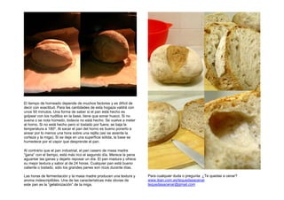 El tiempo de horneado depende de muchos factores y es difícil de
decir con exactitud. Para las cantidades de esta hogaza valdrá con
unos 50 minutos. Una forma de saber si el pan está hecho es
golpear con los nudillos en la base, tiene que sonar hueco. Si no
suena o se nota húmedo, todavía no está hecho. Se vuelve a meter
al horno. Si no está hecho pero sí tostado por fuera, se baja la
temperatura a 180º. Al sacar el pan del horno es bueno ponerlo a
airear por lo menos una hora sobre una rejilla (así se asienta la
corteza y la miga). Si se deja en una superficie sólida, la base se
humedece por el vapor que desprende el pan.
Al contrario que el pan industrial, el pan casero de masa madre
“gana” con el tiempo, está más rico el segundo día. Merece la pena
aguantar las ganas y dejarlo reposar un día. El pan madura y ofrece
su mejor textura y sabor al de 24 horas. Cualquier pan está bueno
caliente o tostado, sólo los grandes panes son ricos durante días.
Las horas de fermentación y la masa madre producen una textura y
aroma indescriptibles. Una de las características más obvias de
este pan es la “gelatinización” de la miga.
Para cualquier duda o pregunta: ¿Te quedas a cenar?
www.iban.com.es/tequedasacenar
tequedasacenar@gmail.com
 