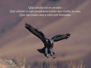 Que adular no es ayudar. Que adular es tan pernicioso como dar vuelta la cara. Que las cosas cara a cara son honestas. 
