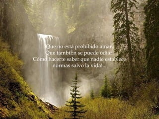 Que no está prohibido amar.
   Que también se puede odiar.
Cómo hacerte saber que nadie establece
      normas salvo la vida!...
 