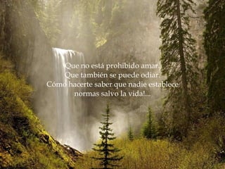 Que no está prohibido amar. Que también se puede odiar. Cómo hacerte saber que nadie establece normas salvo la vida!... 