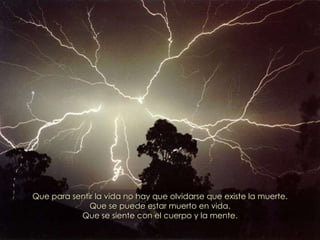 Que para sentir la vida no hay que olvidarse que existe la muerte. Que se puede estar muerto en vida. Que se siente con el cuerpo y la mente. 