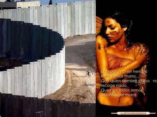 Que para no ser heridos levantamos muros. Que quien siembra muros  no recoge nada. Que casi todos somos albañiles de muros. 