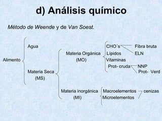 d) Análisis químico
Método de Weende y de Van Soest.
Agua CHO´s Fibra bruta
Materia Orgánica Lípidos ELN
Alimento (MO) Vitaminas
Prot- cruda NNP
Materia Seca Prot- Verd
(MS)
Materia inorgánica Macroelementos cenizas
(MI) Microelementos
 