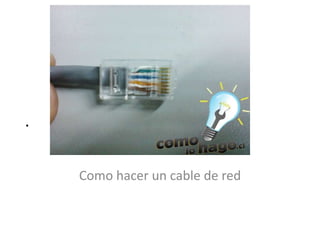 .


    Como hacer un cable de red
 