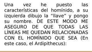 Una vez he puesto las
características del homínido, a su
izquierda dibujo la “llave” y pongo
su nombre. DE ESTE MODO ME
ASEGURO DE QUE TODAS LAS
LÍNEAS ME QUEDAN RELACIONADAS
CON EL HOMÍNIDO QUE SEA (En
este caso, el Ardipithecus):
 