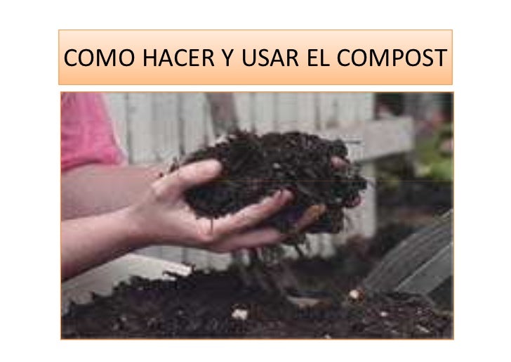 Como usar el forex