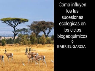 Como influyen
los las
sucesiones
ecologicas en
los ciclos
biogeoquimicos
?
GABRIEL GARCIA
 